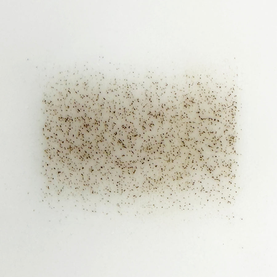 POWDER